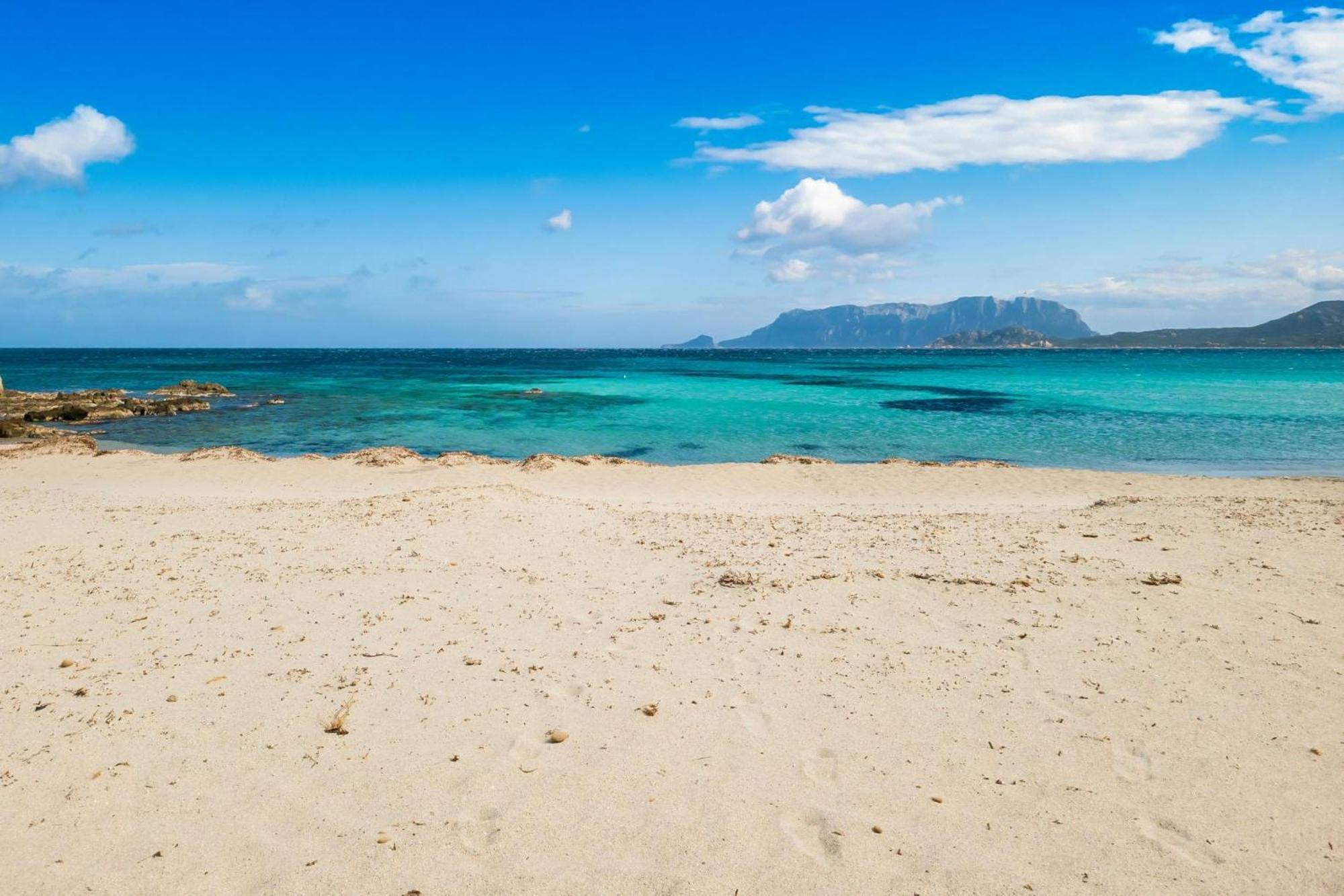Dimora Di Rosy Pittulongu - Happy Rentals Olbia Zewnętrze zdjęcie
